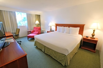 Room, 1 King Bed, Non Smoking
