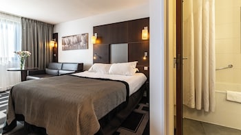 Standard Room, 1 Double Bed with Sofa bed
