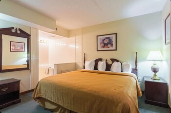 Room, 1 King Bed, Non Smoking