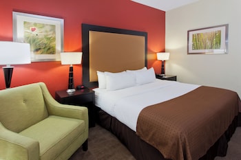 Standard Room, 1 King Bed, Accessible (Communication, Roll-In Shower)