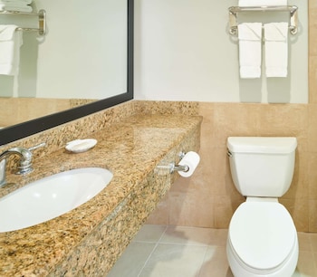 Room, Roll-in Shower, City View (Roll-in Shower)