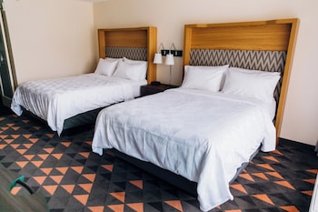 Standard Room, Multiple Beds, Roll-in Shower (Mobility Accessible)