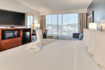 Deluxe King with Sleeper Sofa