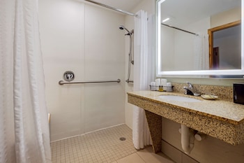 Standard Room, 1 King Bed, Accessible, Refrigerator & Microwave