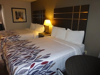 Deluxe Room, 2 Queen Beds, Smoking