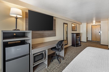 Business Room, 1 King Bed, Non Smoking, Refrigerator & Microwave