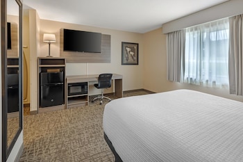 Standard Room, 1 Queen Bed, Non Smoking, Refrigerator & Microwave