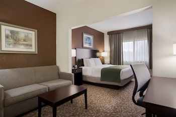 Suite, 1 King Bed, Non Smoking, Jetted Tub (with Sofabed)