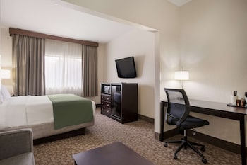 Suite, 1 King Bed, Non Smoking, Jetted Tub (with Sofabed)