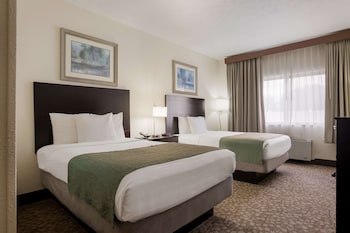 Standard Room, 2 Double Beds, Accessible, Refrigerator & Microwave