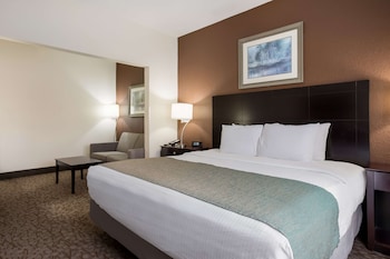 Suite, 1 King Bed, Non Smoking, Jetted Tub (with Sofabed)