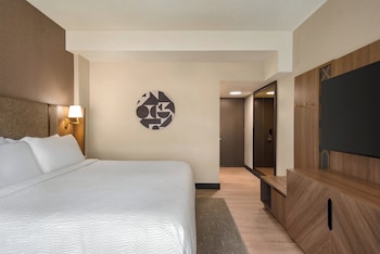 Standard Room, 1 King Bed with Sofa bed