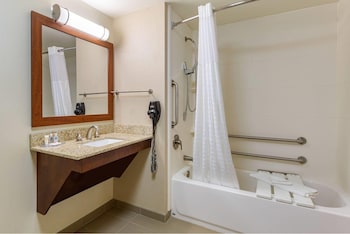 1 King Bed, Mobility Accessible (Tub)