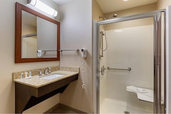 1 King Bed, Mobility Accessible (Roll-in Shower)