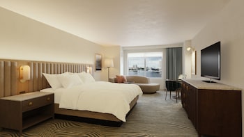 Room, 1 King Bed