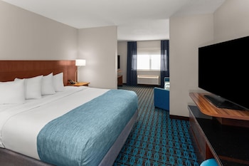 Executive Suite, 1 King Bed with Sofa bed, Non Smoking