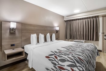 Deluxe Room, 1 King Bed, Accessible, Non Smoking