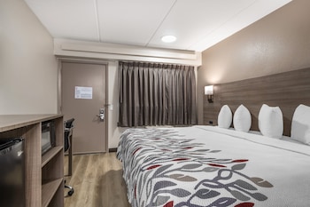 Standard Room, 1 King Bed, Non Smoking
