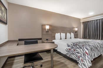 Superior Room, 1 King Bed, Non Smoking