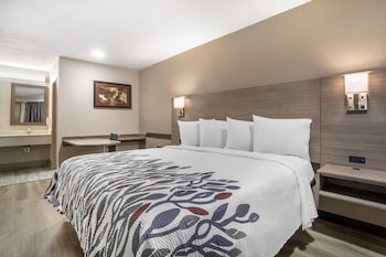 Superior Room, 1 King Bed, Non Smoking