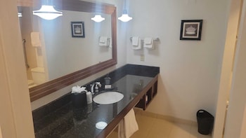 Standard Room, 1 King Bed, Roll-in Shower