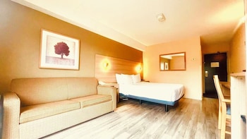 Room with 1 King Bed, 1-Person Sofabed
