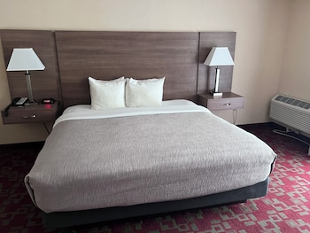 Room, 1 King Bed, Non Smoking, Pet Friendly