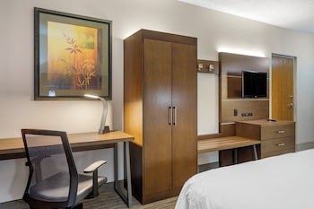Standard Room, 1 King Bed, Roll-in Shower (Communications)