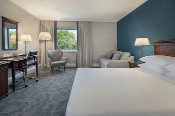 Deluxe Room, 1 King Bed with Sofa bed