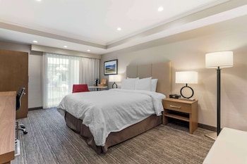 Standard Room, 1 Queen Bed, Accessible, Bathtub