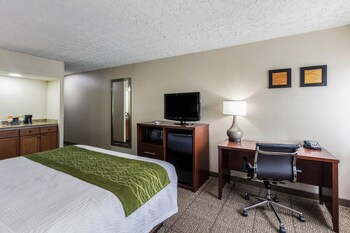 Standard Room, 1 King Bed, Non Smoking