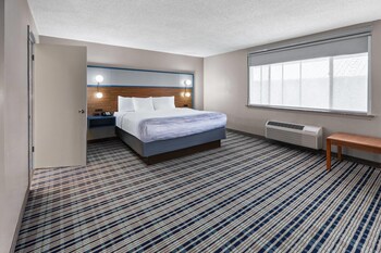 Room, 1 King Bed, Non Smoking, Pool View (Standing Shower)