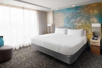 Room, 1 King Bed