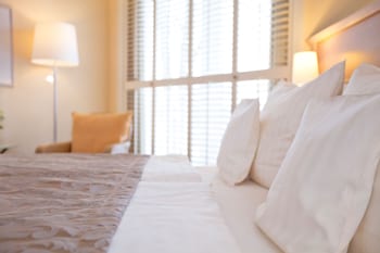 Executive Room, 1 Double Bed