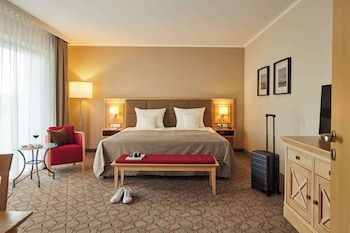 Executive Room, 1 Double Bed