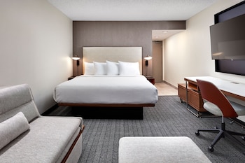 Room, 1 King Bed with Sofa bed