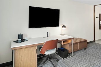 Room, 1 King Bed with Sofa bed