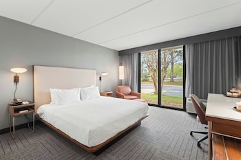 Room, 1 King Bed with Sofa bed, Hearing Accessible (Accessible Bathtub)