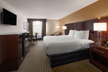 Room, 1 King Bed, Non Smoking
