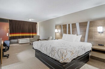 Standard Room, 1 King Bed, Non Smoking, Poolside