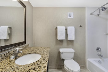 Suite, 1 King Bed, Non Smoking, Refrigerator & Microwave (with Sofabed)