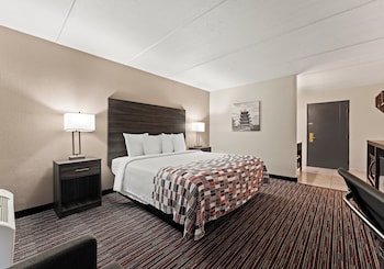 Deluxe Room, 1 King Bed, Accessible, Non Smoking (Roll-In Shower)