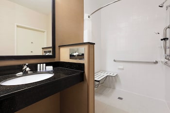 Room, 1 King Bed, Hearing Accessible (Accessible Bathtub)