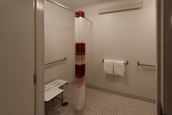Deluxe Room, 1 King Bed, Accessible, Non Smoking (Roll-In Shower)