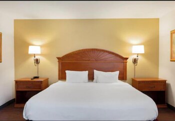Standard Single Room, Accessible