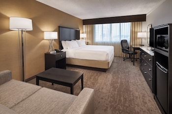 Standard Room, 1 King Bed with Sofa bed
