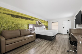 Room, 1 King Bed with Sofa bed, Non Smoking