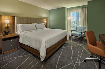 Standard Room, 1 King Bed