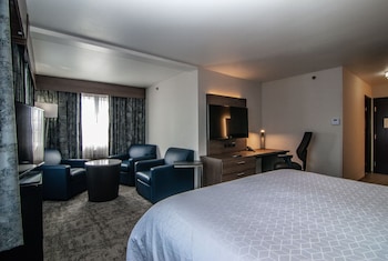 Suite, 1 King Bed