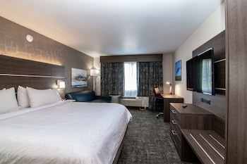 Standard Room, 1 King Bed with Sofa bed